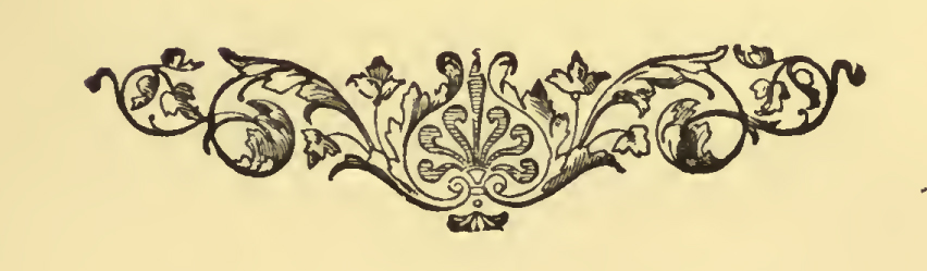 ornamental scroll with leaves
