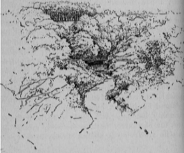 Pencil drawing of a stream through a  wooded area.
