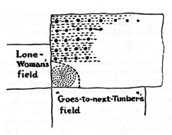 diagram of field showing locations for planting corn