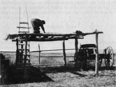 person standing on top of wood-framed platform with corn husks drying on top
