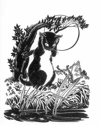 A cat sits on its hind legs on the banks of a river holding his front paws over his ears.