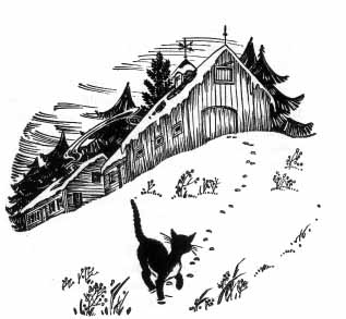 The blue cat walks through the snow away from a barn.
