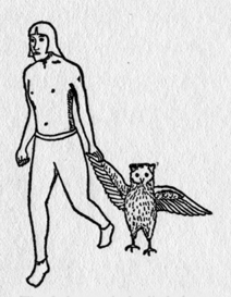 man and owl walking
