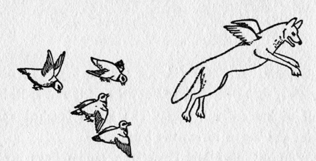 quail and fox flying together