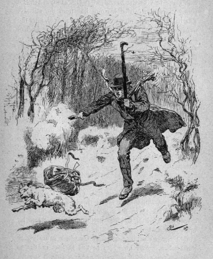 Man holding walking stick in the air chasing dog.