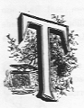 T (illuminated letter with woods behind it).
