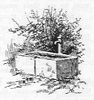 Water-trough