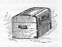 Trunk.