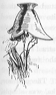 Wearing coal-hod helmet.
