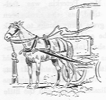 Horse at carriage standing still.