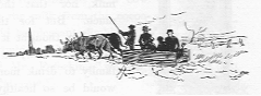 Men with some cattle.