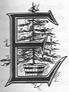 E (illuminated letter with evergreen tree in a bucket behind it).