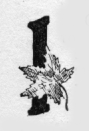 Maple leaf. I (illuminated capital for I shot)