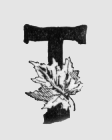 Maple leaf. T (illuminated capital for the)