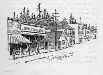 Street with store fronts and evergreen trees.