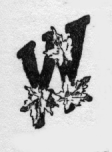 Maple leaves. W (illuminated capital for we)