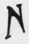 N (illuminated capital for nature)