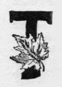 Maple leaf. T (illuminated capital for the)