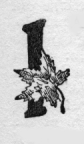 Maple leaf. I (illuminated capital)
